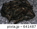 ブラックタイガーエビ