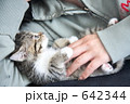 女性の手と子猫