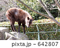 おっとっと