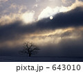 643010