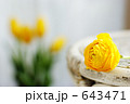 チューリップとラナンキュラス