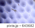 643682