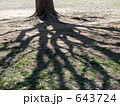 木の陰
