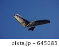 645083