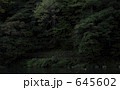 645602