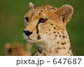 647687