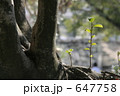 小さな命