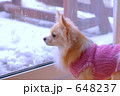 外は雪