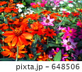 Vivid Flowers　1