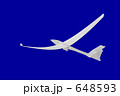 青空を滑空する　グライダー