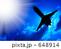 飛行機