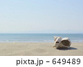 海の記憶