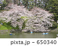 千鳥ヶ淵の桜