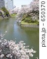千鳥ヶ淵の桜