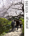 千鳥ヶ淵の桜