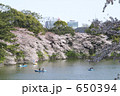 千鳥ヶ淵の桜