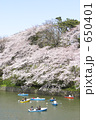 千鳥ヶ淵の桜