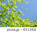 青と黄緑