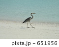 651956