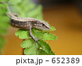 652389