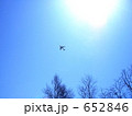 652846