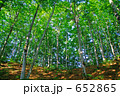 652865
