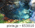 男池湧水群