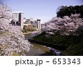 お堀の桜