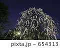 月明かりに輝く白梅