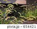 秋のある日