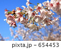 玉縄桜～早咲き桜と蒼い空２