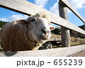655239