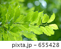 655428