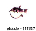 ふぐ