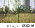 不忍池柳