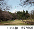 砧公園
