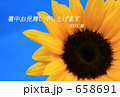 大輪ひまわりの暑中見舞い 大輪ひまわりの暑中見舞い