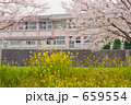 桜咲く学校