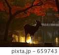 奈良の紅葉