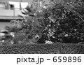原宿・神宮前４丁目　昭和５２年