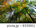 白神山地　秋
