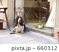 アトリエの看板犬