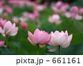 寄り添う