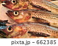 助宗タラ
