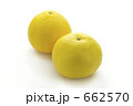 日向夏