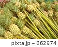 花パイン