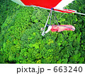 新潟県弥彦山山麓の上空をハンググライダーで飛行中