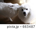 笑顔のカメラ目線