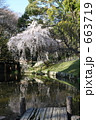 浜松城公園の日本庭園
