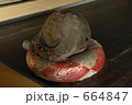 664847